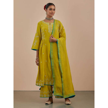 Priya Chaudhary Lime Green Chanderi Dupatta