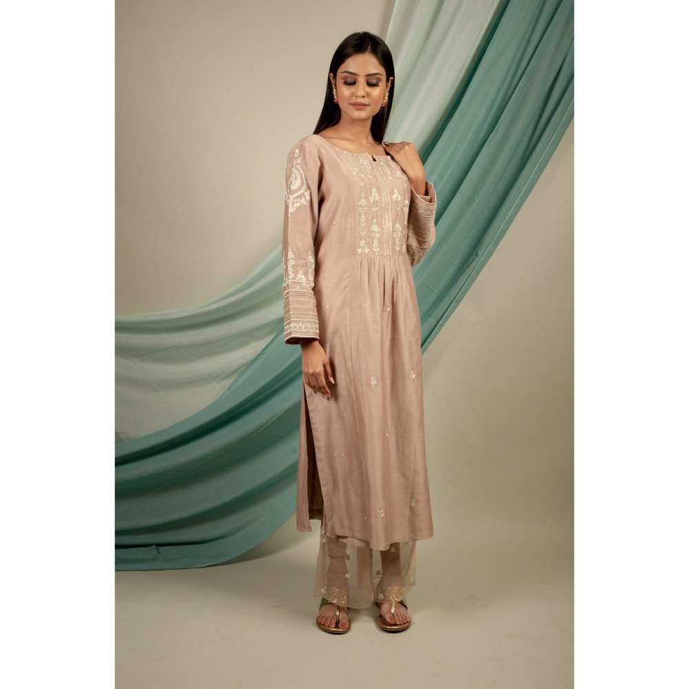 Priya Chaudhary Silver Brown Kurtas (Set of 2)