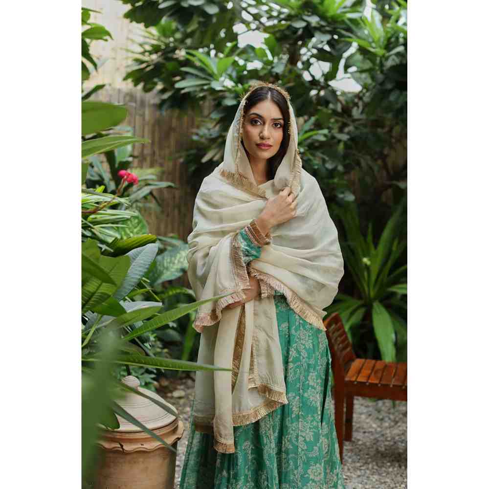 Roze Chhaya Anarkali (Set of 3)