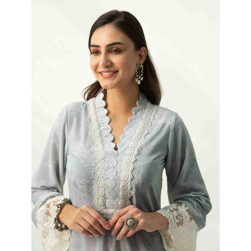 Roze Parsia Grey Velvet (Set Of 2)