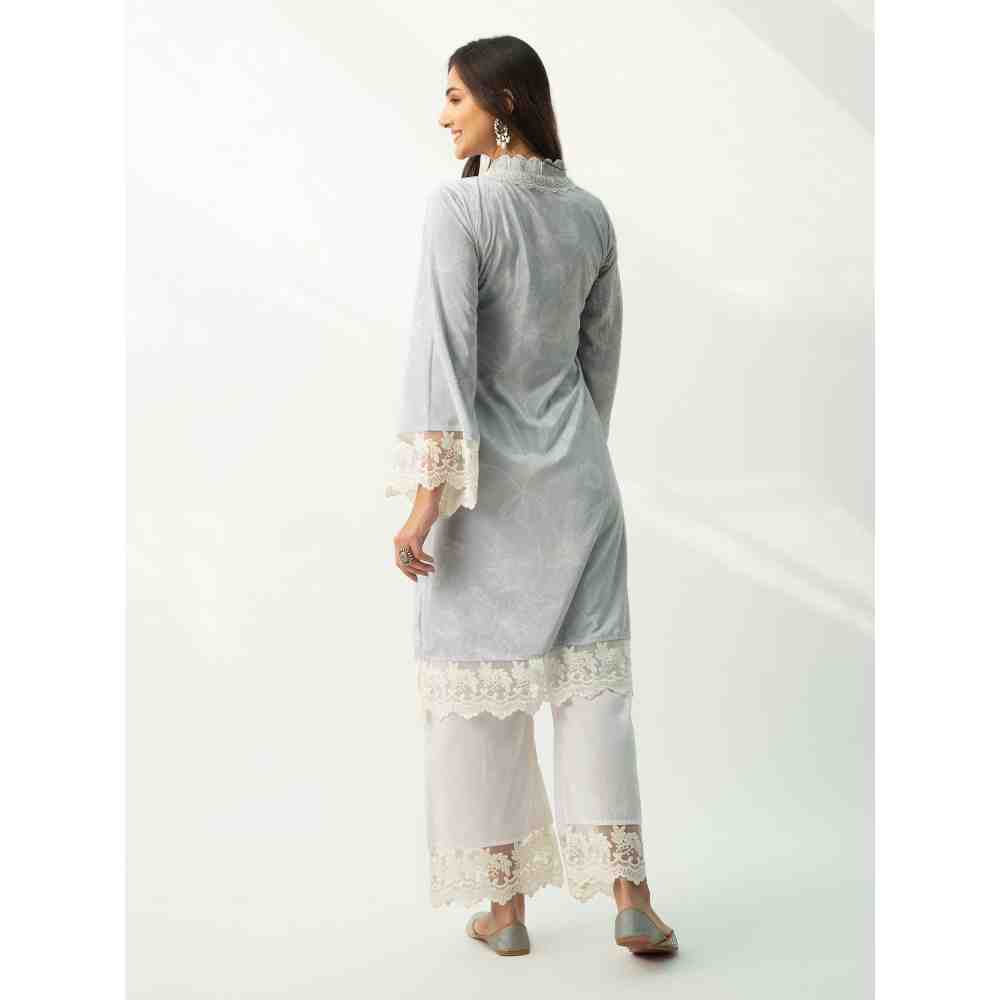 Roze Parsia Grey Velvet (Set Of 2)