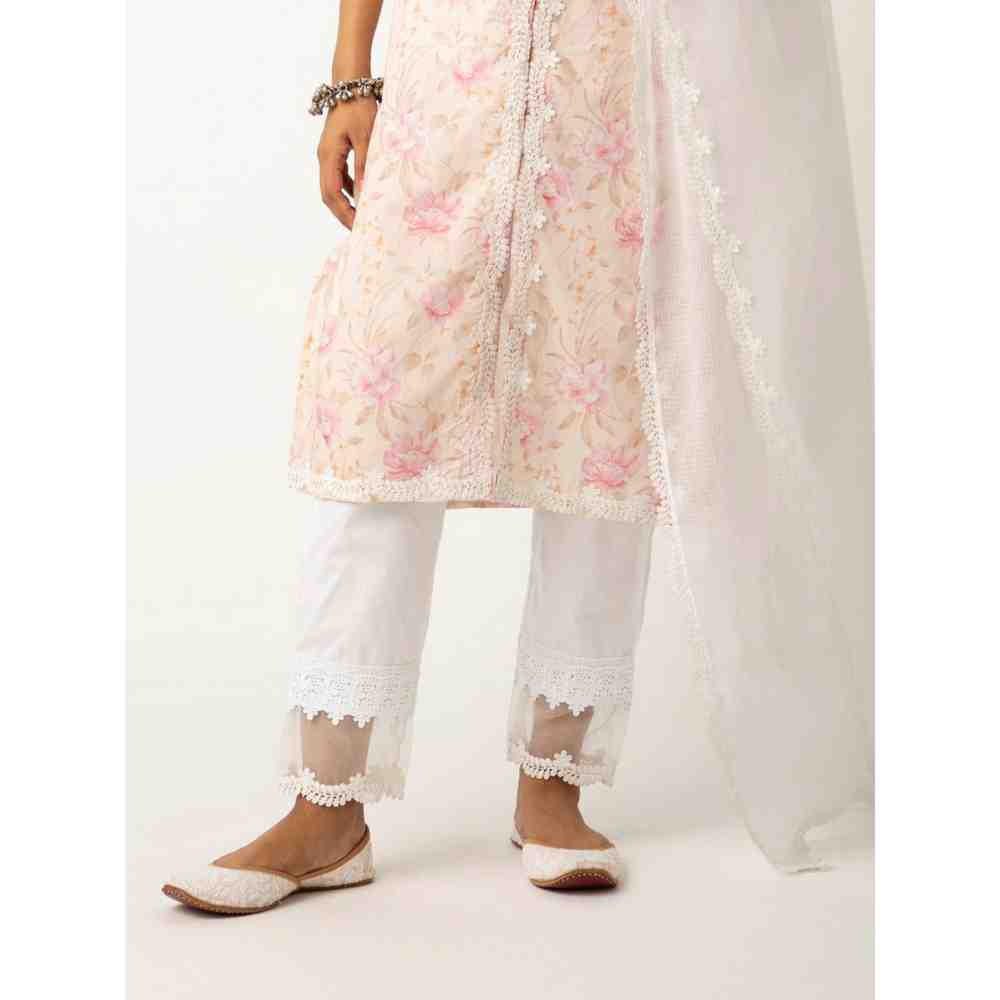 Roze Meerab Pant