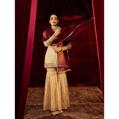 Roze Sultana Gold Sharara (Set of 3)