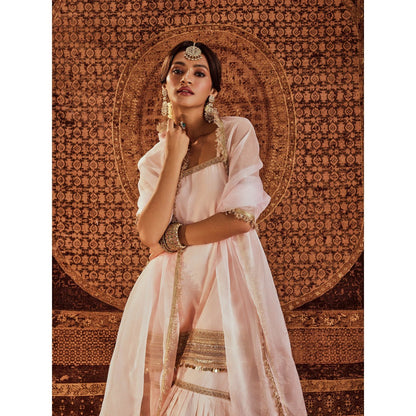 Roze Sultana Pink Sleeveless Kurta with Sharara & Dupatta (Set of 3)
