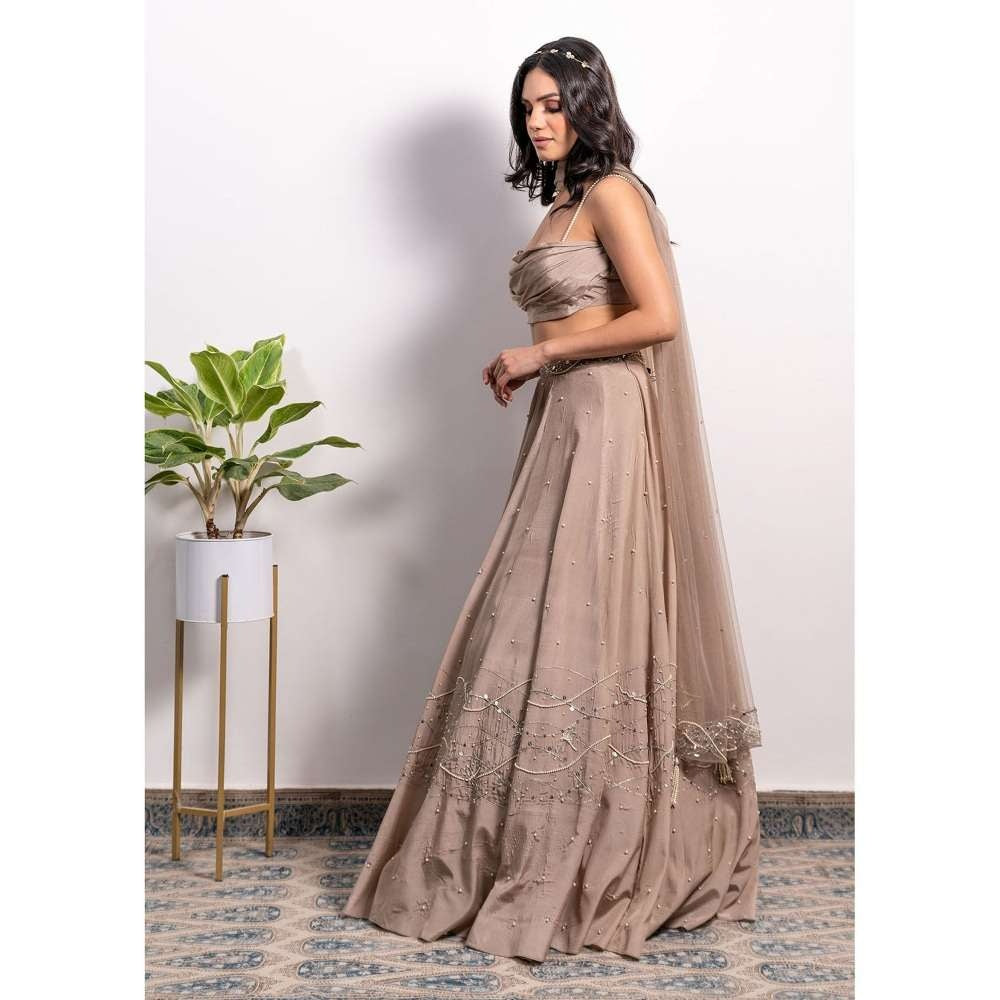 Silky Bindra Cowl Blouse Lehenga (Set of 3)