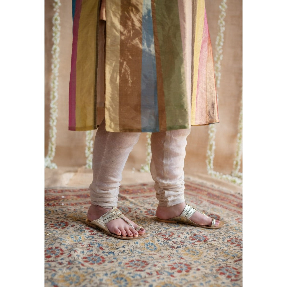 The Indian Ethnic Co. Afsara Tissue Jhabba Kali Kurta
